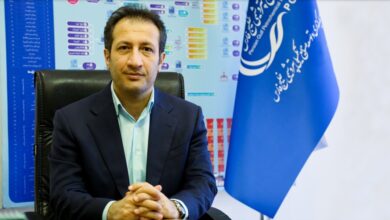 وحید نام نیک سرپرست مدیر عاملی پتروشیمی صدف شد