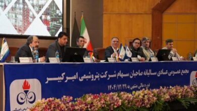 عملکرد مالی پتروشیمی امیرکبیر ۱۴۰۴