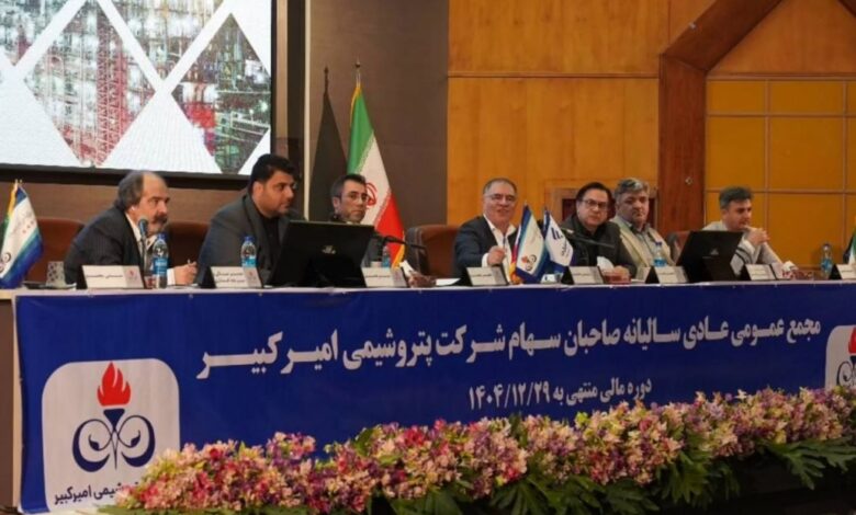 عملکرد مالی پتروشیمی امیرکبیر ۱۴۰۴